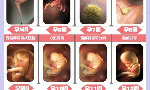 意大利抗a-意大利有没有类似抗病毒颗粒的药网 :分享意大利有没有类似抗病毒颗粒的药品-意大利有没有类似抗病毒颗粒的药物知识
