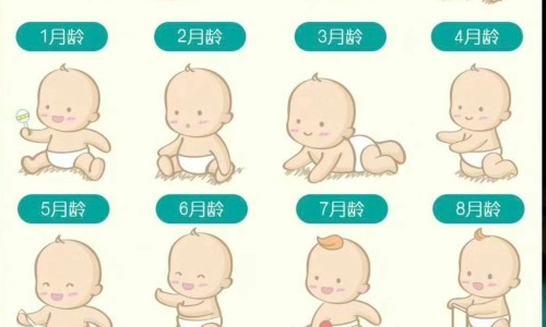 意大利有没有类似抗病毒颗粒的药网 :分享意大利有没有类似抗病毒颗粒的药品-意大利有没有类似抗病毒颗粒的药物知识
